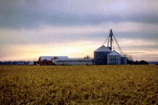 Tipton County Farm