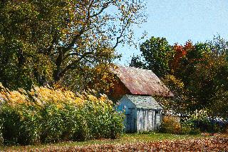 Tipton County Landscapes Fall 10 005#1