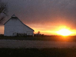 field sunset