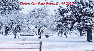 Tipton Park Winter Picture Feb 13 2020